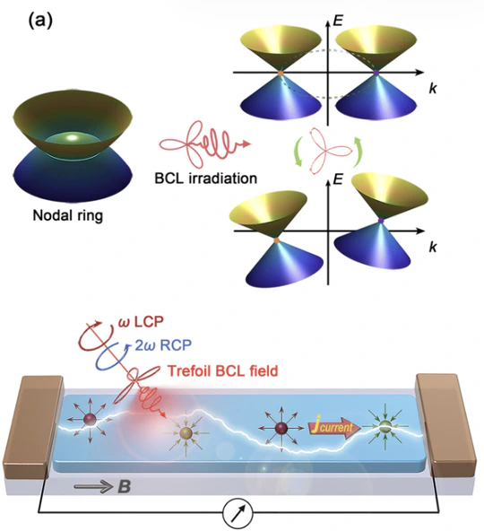 课题组在光调控拓扑物态研究方面取得重要进展